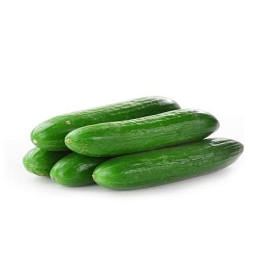 Cucumber 1kg (hybrid )